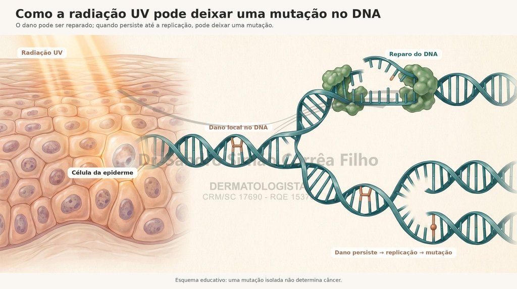 Esquema educativo: radiação UV atinge a célula da epiderme, causa dano local no DNA, que pode ser reparado ou persistir até a replicação e virar mutação.